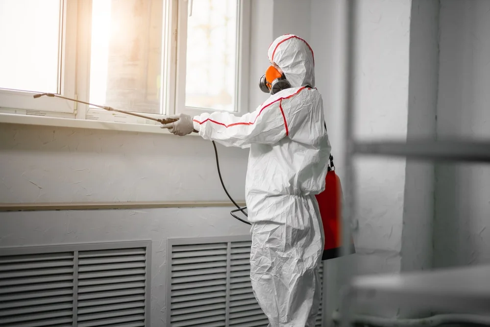 Professional mold remediation services in Westfield, IN